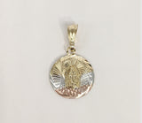 Plated Tri-Color Virgin Mary Medalla Pendant